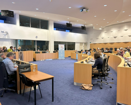 Parlement federale